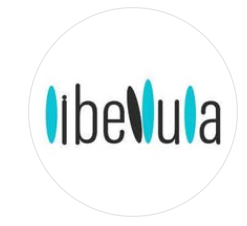 VLibellula
